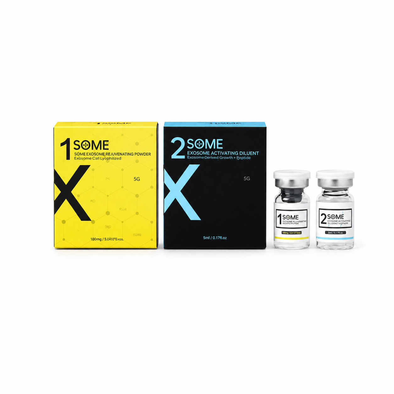 2 Exosome